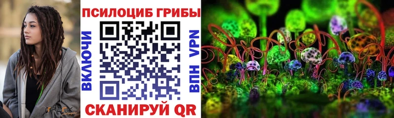 где купить   Рассказово  Псилоцибиновые грибы мухоморы 